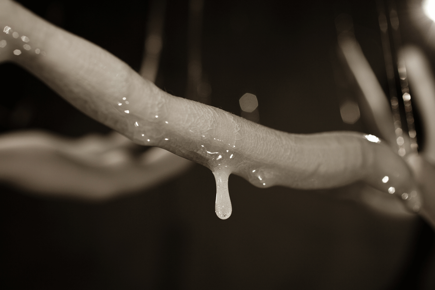 You Are The Palace, You Are The Forest - Jeanne Quinn